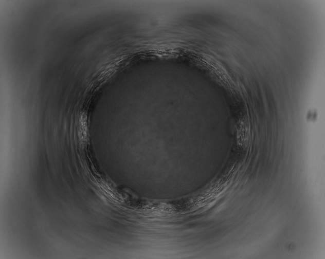 X0000101461298200807071420