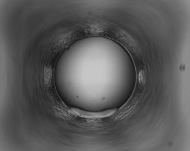X0000101461299200807071420