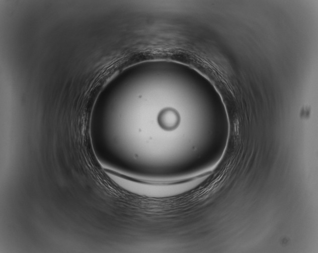 X0000101461300200807071420