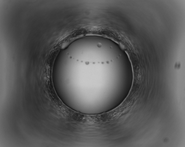 X0000101461301200807071420