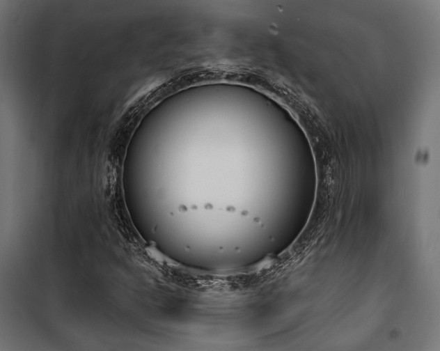 X0000101461302200807071420