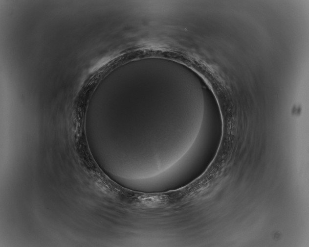 X0000101461303200807071420