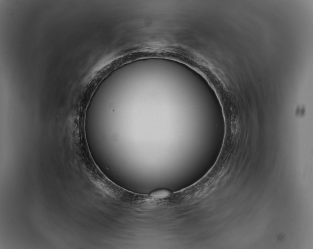 X0000101461304200807071420
