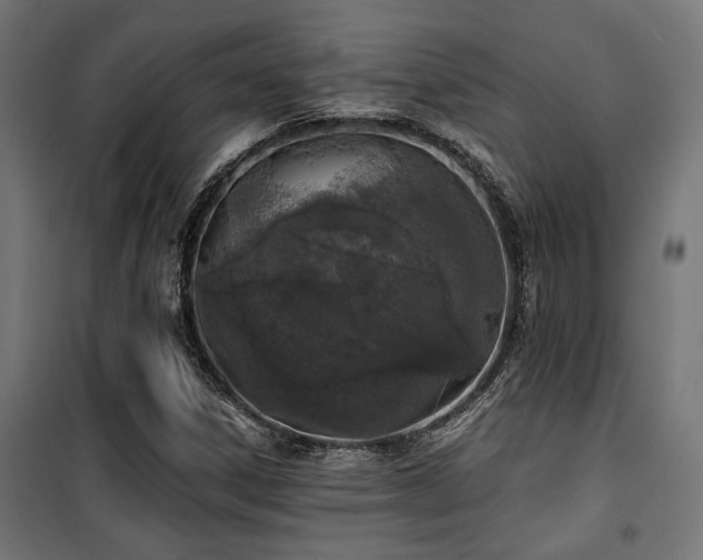 X0000101461306200807071420