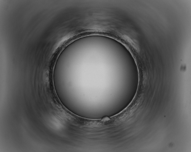 X0000101461307200807071420