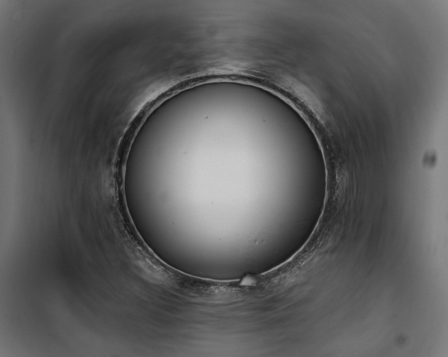 X0000101461308200807071420