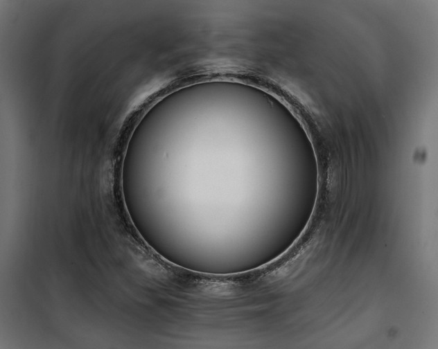 X0000101461309200807071420