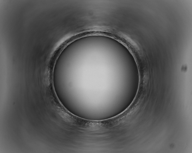 X0000101461310200807071420