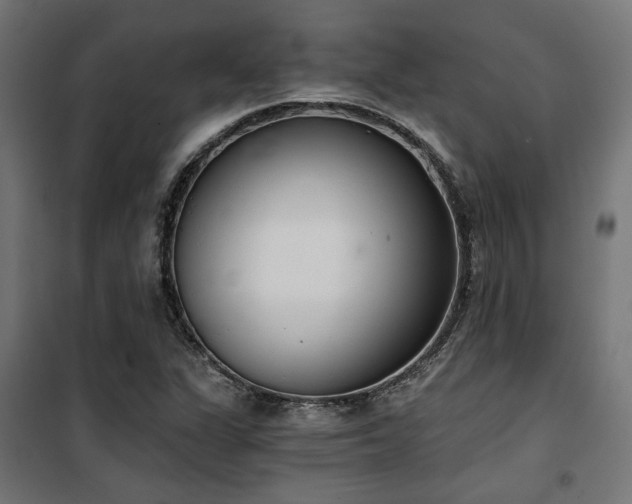 X0000101461311200807071420