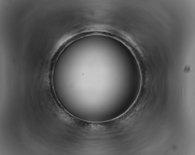 X0000101461312200807071420