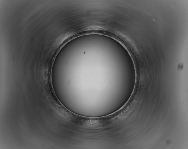 X0000101461313200807071420