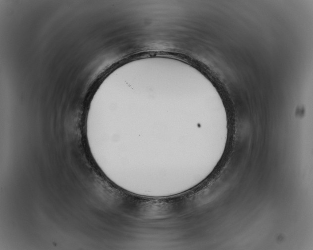 X0000101461314200807071420