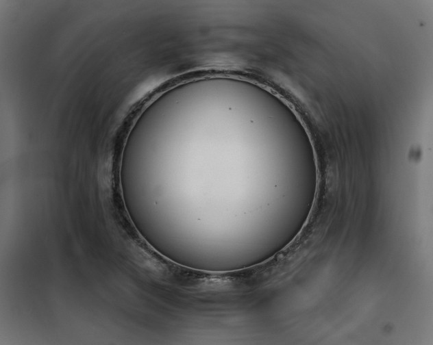 X0000101461315200807071420