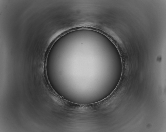 X0000101461316200807071420