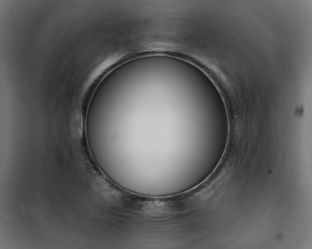 X0000101461317200807071420