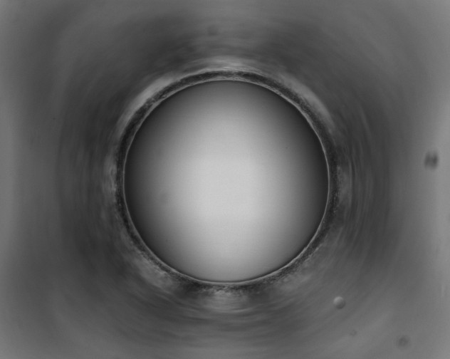 X0000101461318200807071420