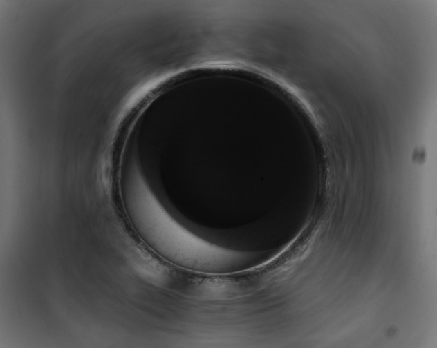 X0000101461319200807071420