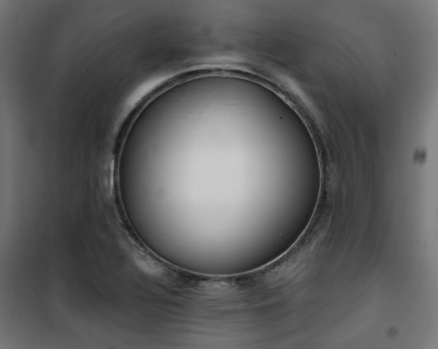 X0000101461320200807071420