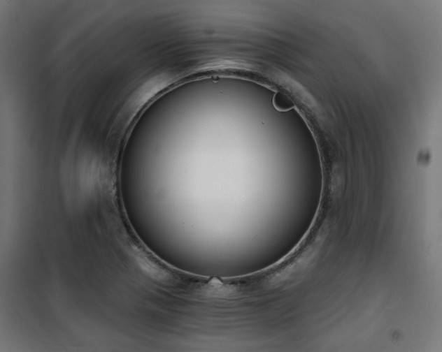 X0000101461321200807071420