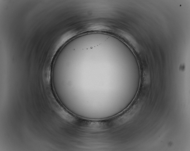 X0000101461322200807071420