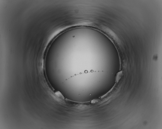 X0000101461324200807071420