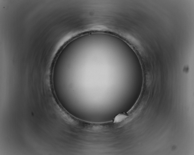 X0000101461326200807071421