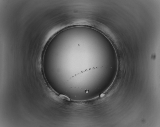 X0000101461328200807071421