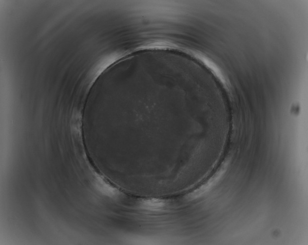 X0000101461329200807071421