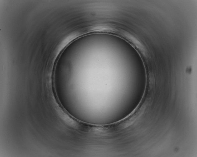 X0000101461330200807071421