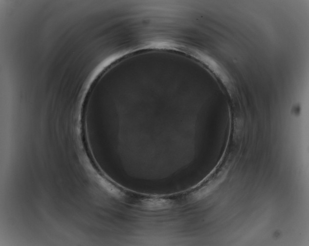 X0000101461331200807071421