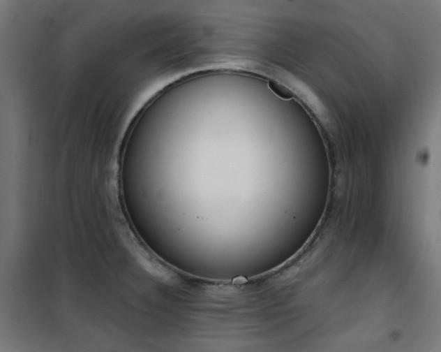 X0000101461332200807071421