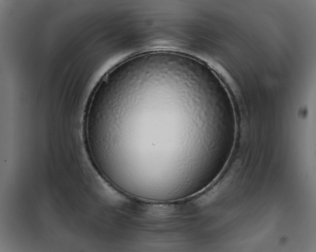 X0000101461333200807071421