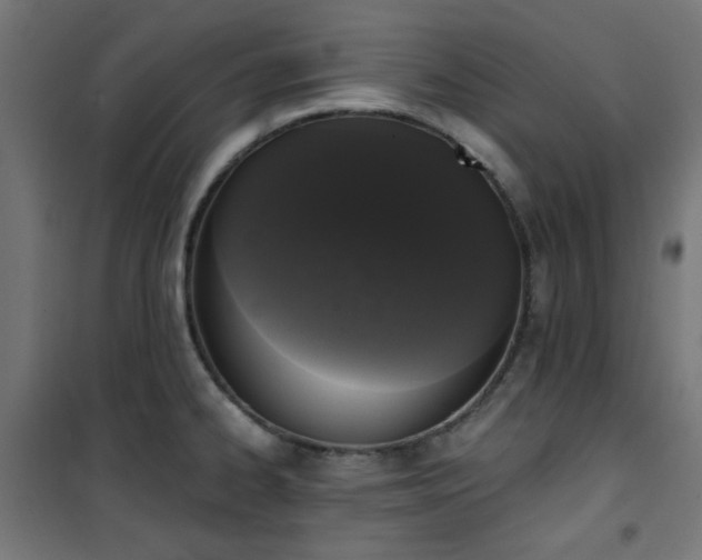 X0000101461334200807071421
