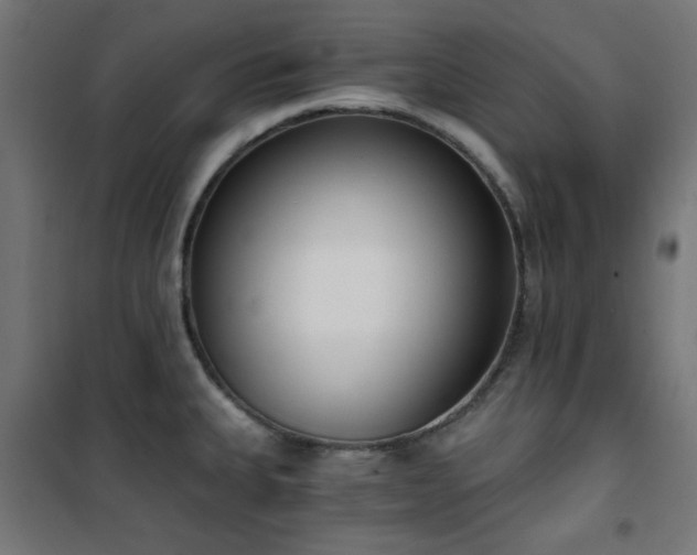 X0000101461335200807071421