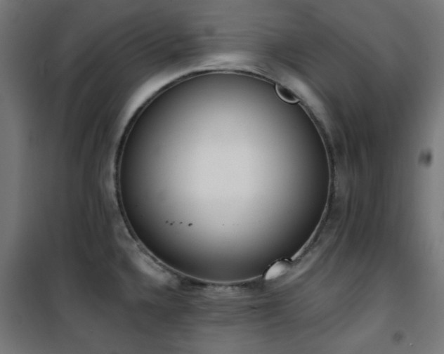 X0000101461336200807071421