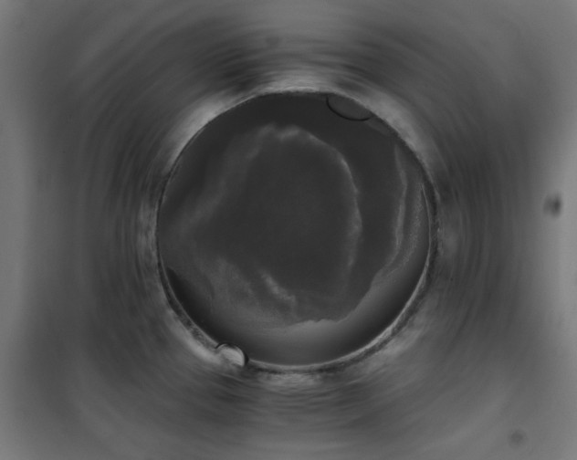 X0000101461337200807071421
