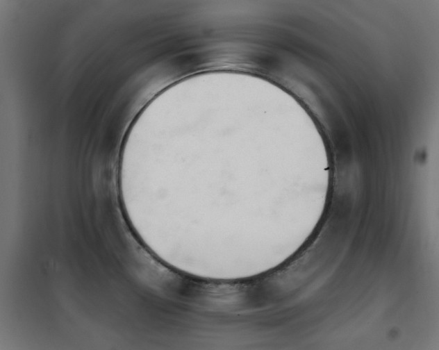 X0000101461338200807071421