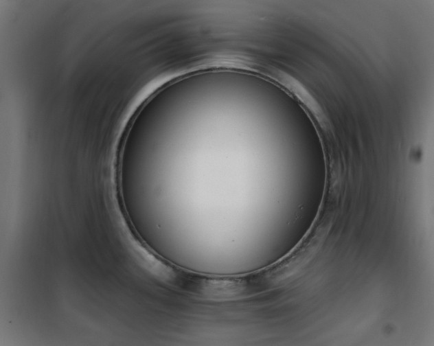 X0000101461339200807071421