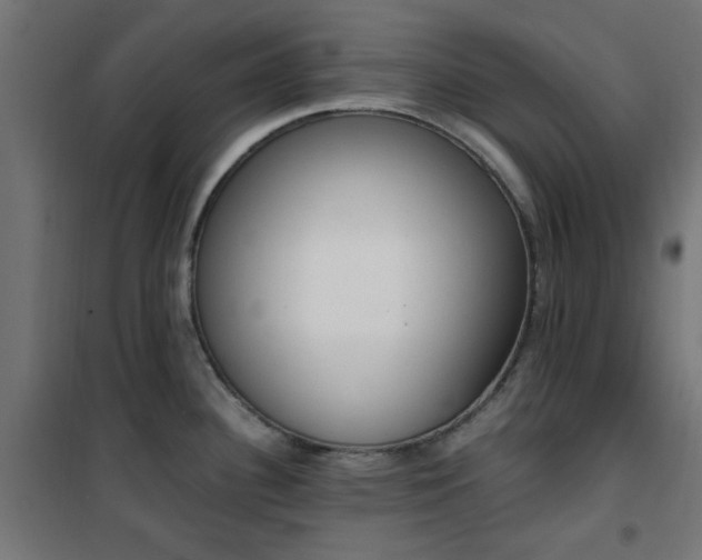X0000101461340200807071421