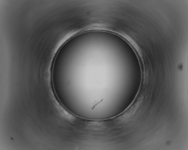 X0000101461341200807071421