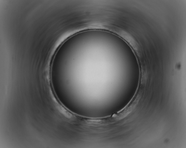 X0000101461342200807071421