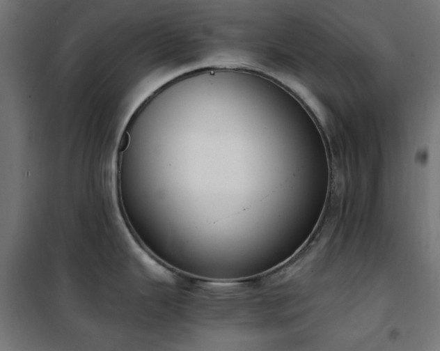 X0000101461343200807071421