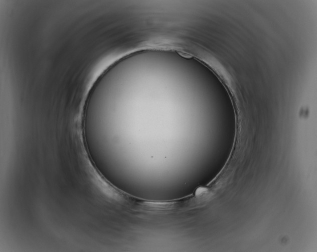 X0000101461344200807071421