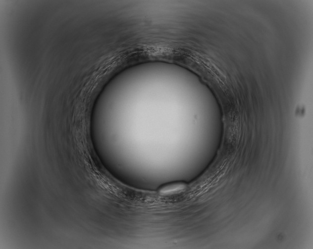 X0000101461345200807071420