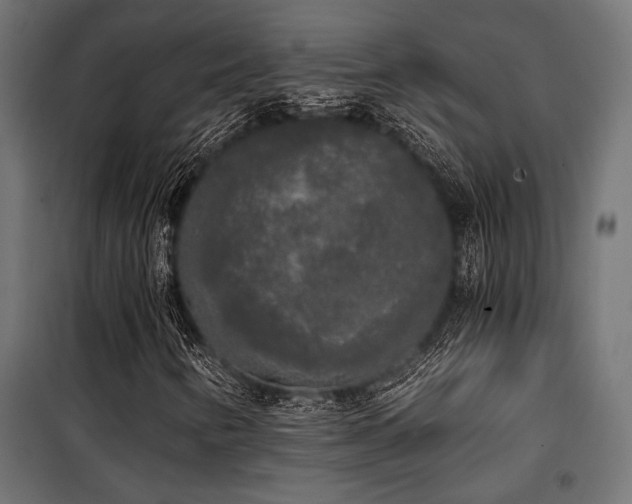 X0000101461346200807071420