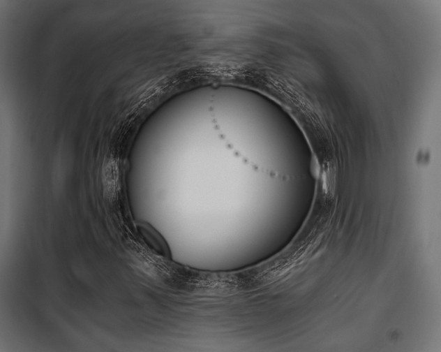 X0000101461347200807071420