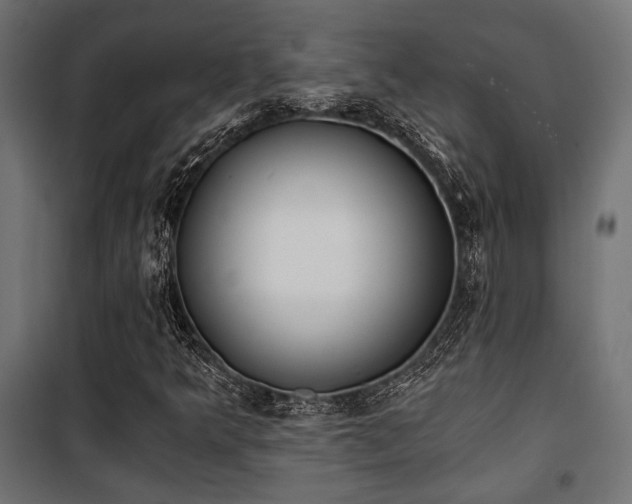 X0000101461349200807071420
