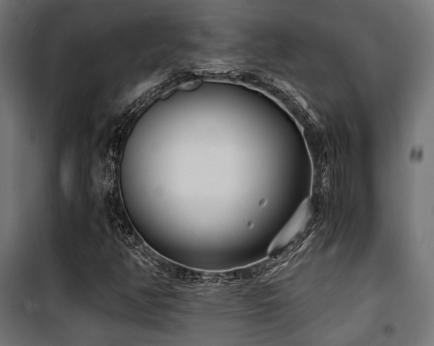 X0000101461350200807071420