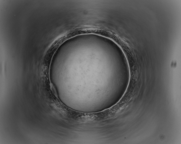 X0000101461351200807071420