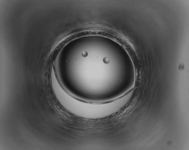 X0000101461352200807071420